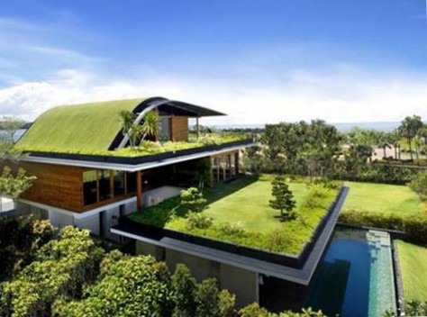 Озеленение покатых крыш