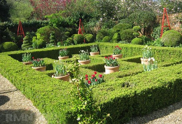 Регулярный стиль. Газон партерный. Французский сад. Идеи вашего сада. Идеи для сада и дачи. Идеи оформления сада. Интересные идеи для сада. Идеи ландшафтного дизайна.