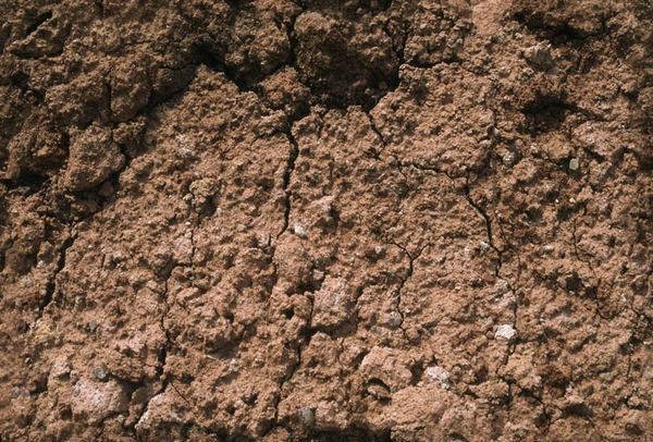 Как защитить почву