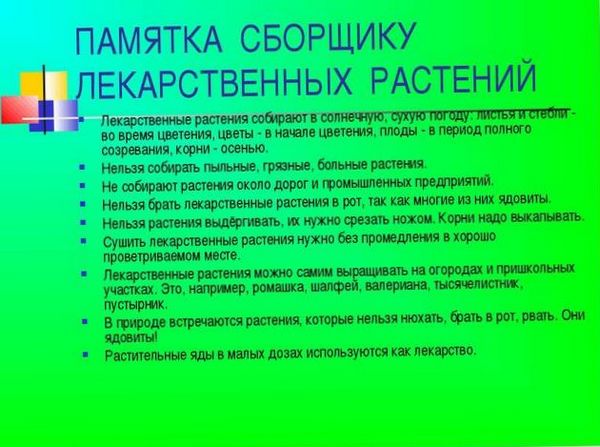 Аптекарский огород. Лекарственные растения огорода. Сбор лекарственных растений. Лекарственные растения и их применение. Выращивание лекарственных растений. Свойства лекарственных растений. Заготовка лекарственных растений. Описание лекарственных растен