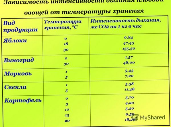 Хранение овощей. Хранение плодов и овощей. Хранение овощей и фруктов.