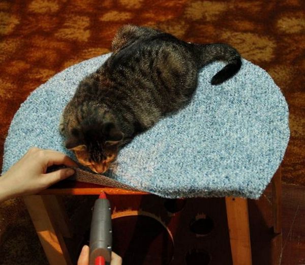 Как сделать развлекательный комплекс с лежанкой для кошки