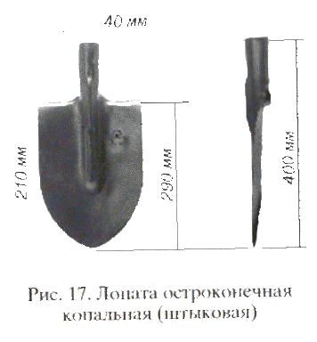 Необходимый для сада инструмент (садовый инвентарь). Штыковая лопата, грабли, вилы, секаторы, инструменты для полива.