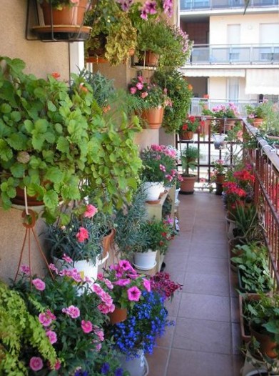 Оформление балкона цветами. Сад на балконе.