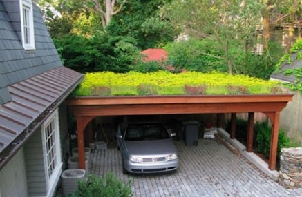 Озеленение крыш. Растения на крыше.