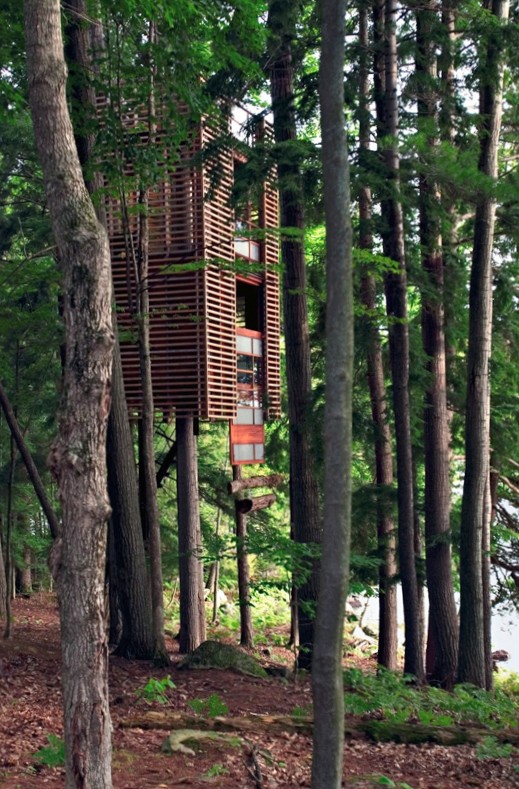 Подборка оригинальных домиков на деревьях