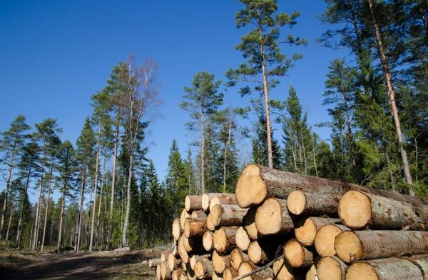 Приготовление компоста. Производство компоста.