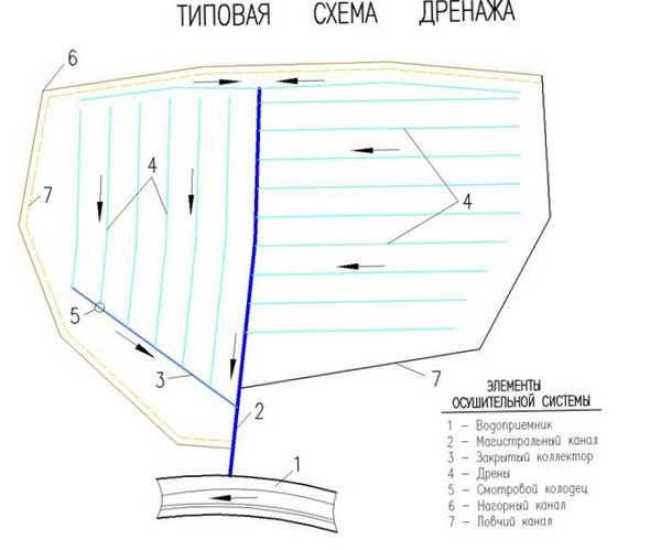 Статья об устройстве дренажа на участке.