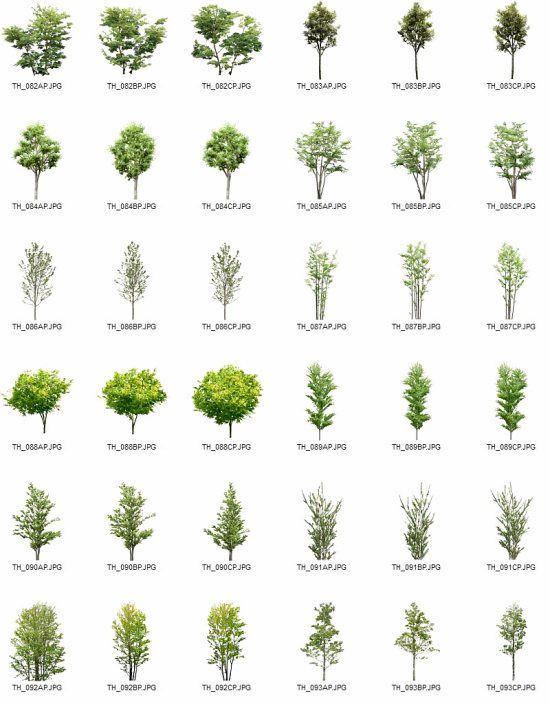 Как определить дерево