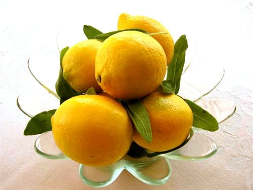 Как размножать лимон