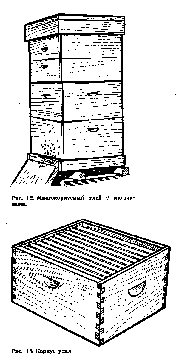 Как построить улей для пчел