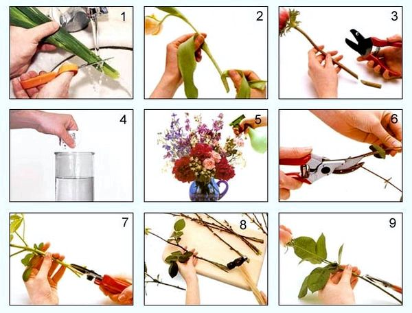 Как обрезать цветы