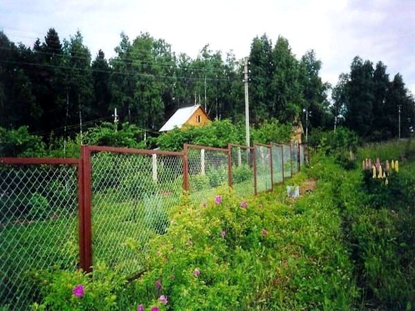 Как сделать забор из сетки