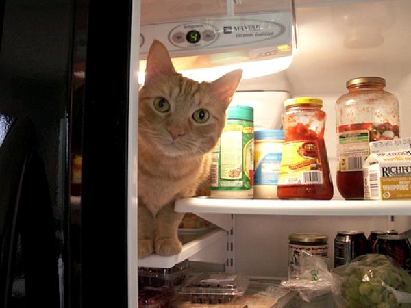 Почему стенки холодильника нагреваются