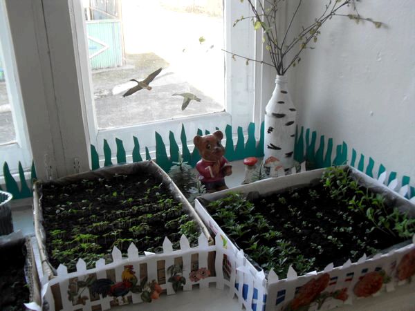 Как оформить огород на окне
