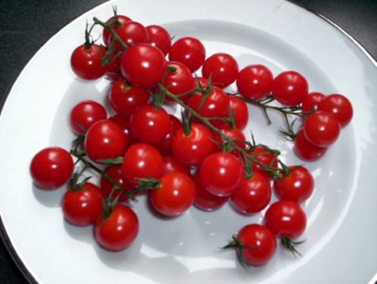 Как вырастить помидоры черри