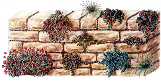 Как украсить стену в саду