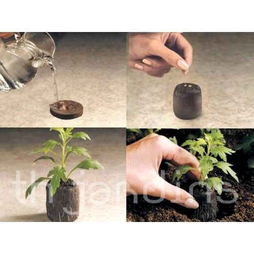 Как использовать торфяные таблетки для выращивания семян