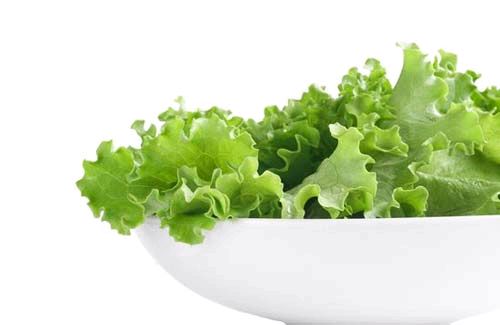 Как вырастить листья салата
